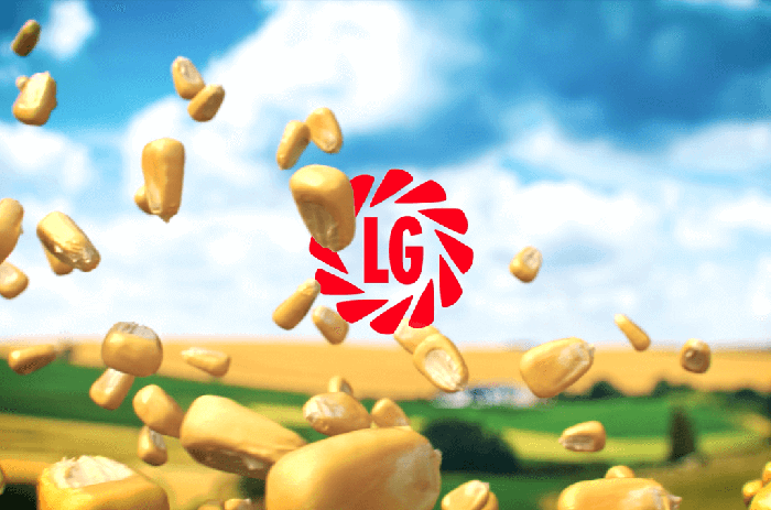 LG Seeds case study